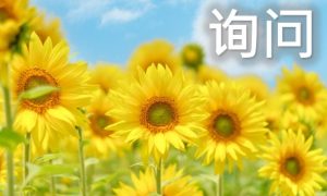 お問い合わせ(中国語)ひまわり