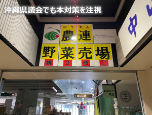沖縄県議会