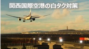 関空白タク対策
